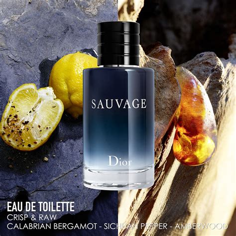 dior savuage eau de toilette 6.8oz 200ml new in box|Dior sephora sauvage cologne.